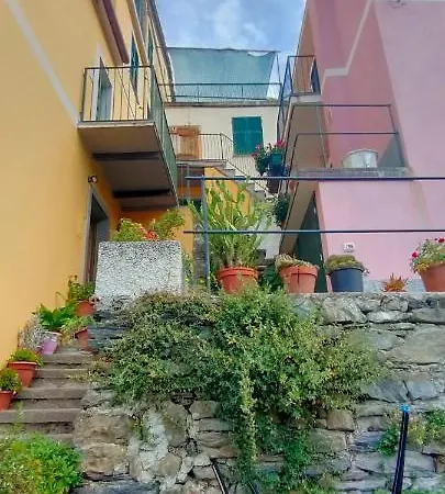 Mauro's